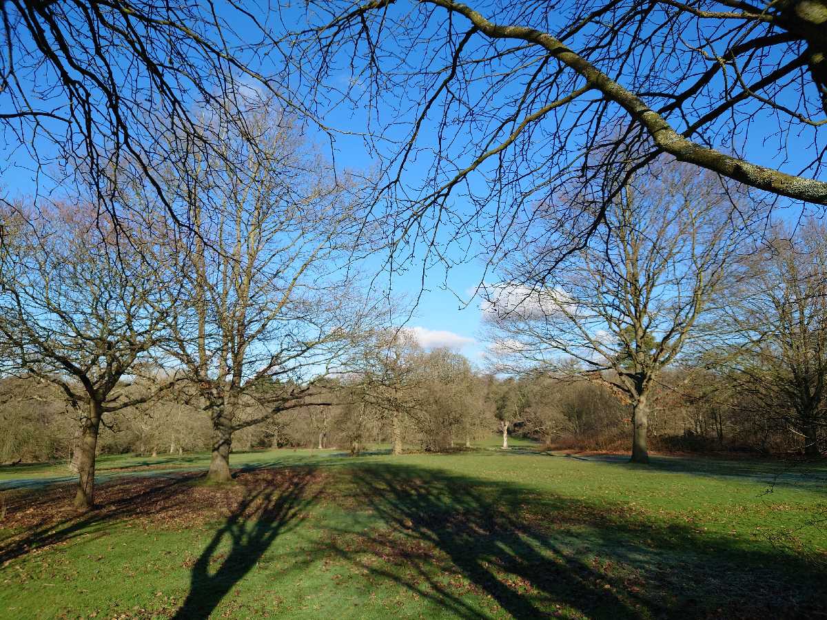 Highbury+Park%2c+Birmingham+-+A+wonderful+open+space!