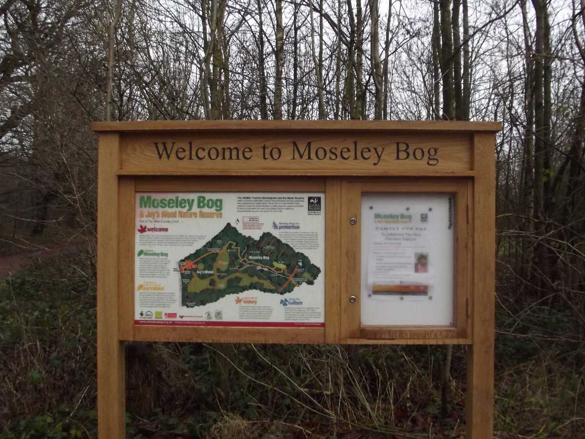 Moseley+Bog%2c+Birmingham+-+A+hidden+Gem!