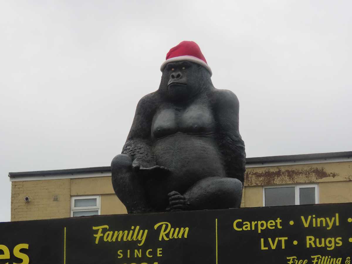 Stirchley Gorilla